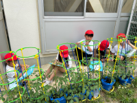 2年松組_学活_段ノ上　彩乃_2026年5月25日のノート_1