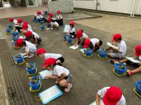 1年竹組_写真_永田葵_0603 あさがお観察_1